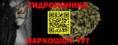 винт Партизанск