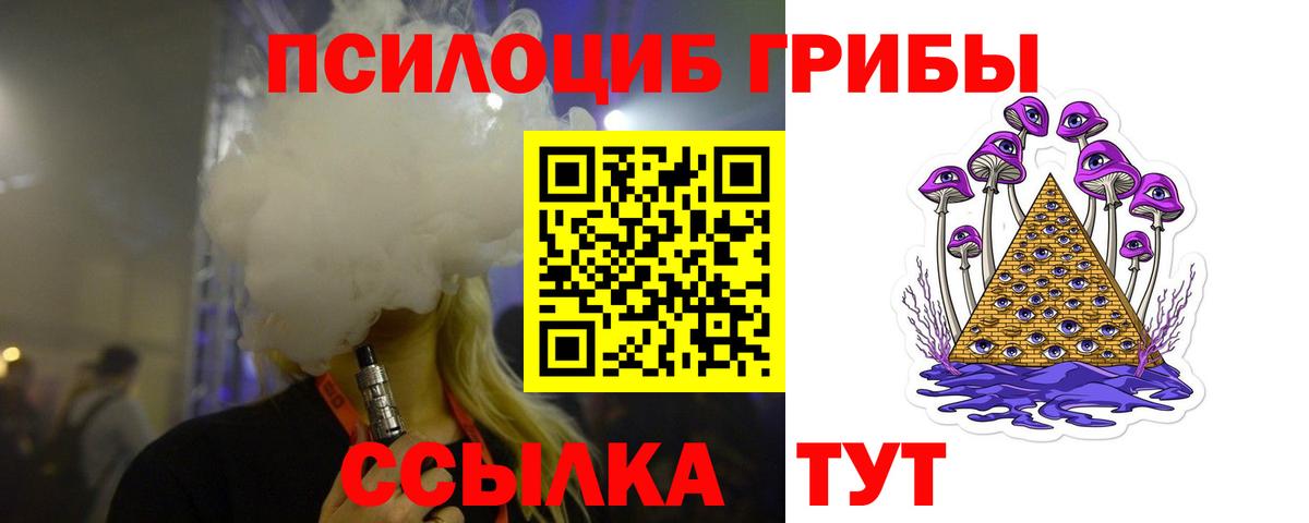 купить закладку  Галлюциногенные грибы MAGIC MUSHROOMS  Вход с VPN  Севастополь 